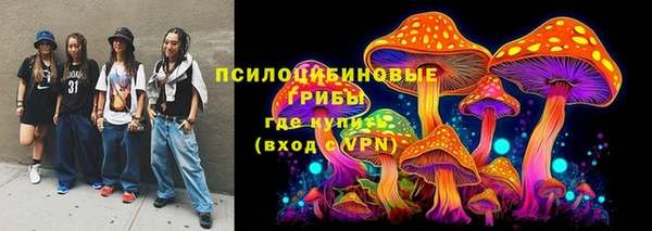герыч Алексин