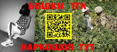 прущие грибы Обь