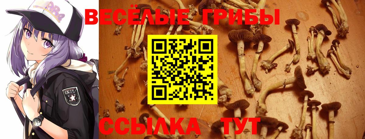 Галлюциногенные грибы ЛСД  Вход с VPN  Шадринск 