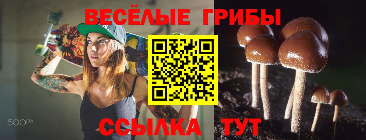 Псилоцибиновые грибы мухоморы Шадринск